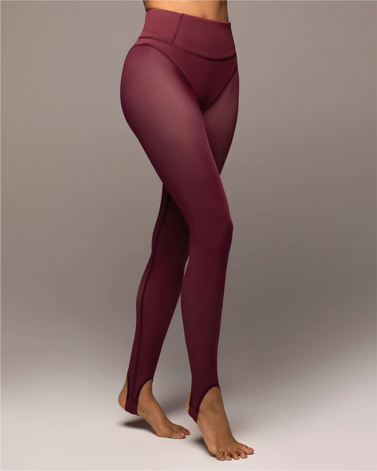 Ambient Stirrup Legging