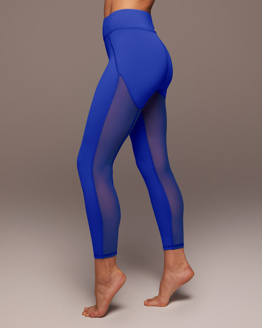 Carmen Mesh Leggings in Blue – The Gym Wear Boutique